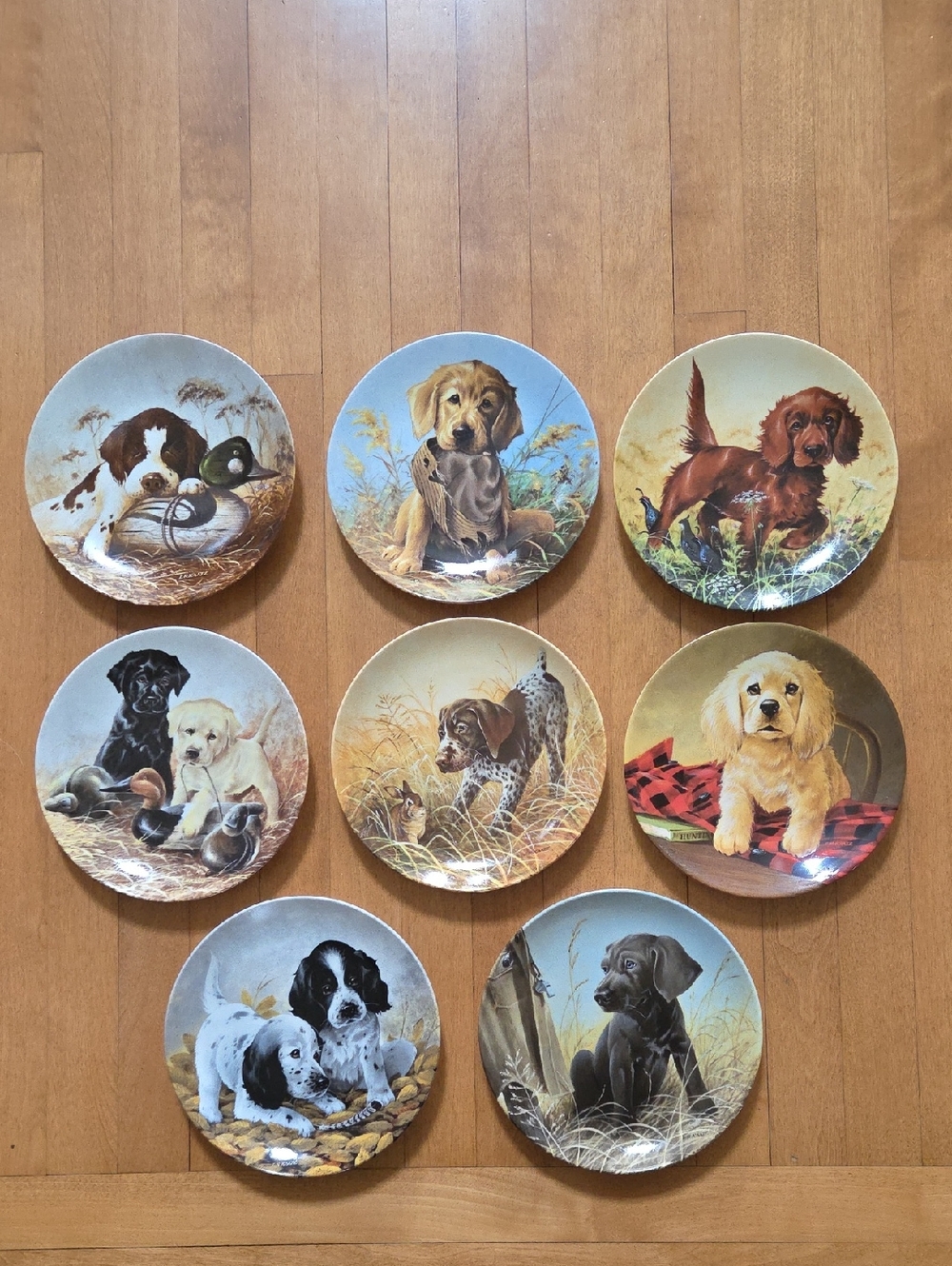 Set Of 8 Edwin Knowles FIELD PUPPIES Collector China Plates By Lynn KAATZ Dogs